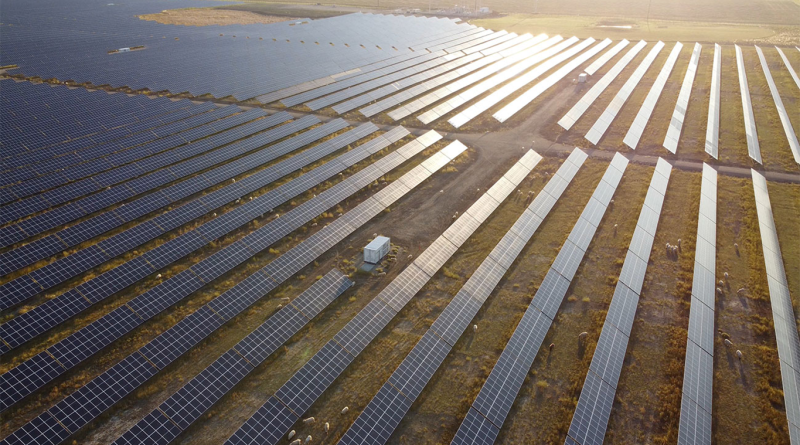 Capstone's renewable energy and storage solutions with lines of solar panels in field