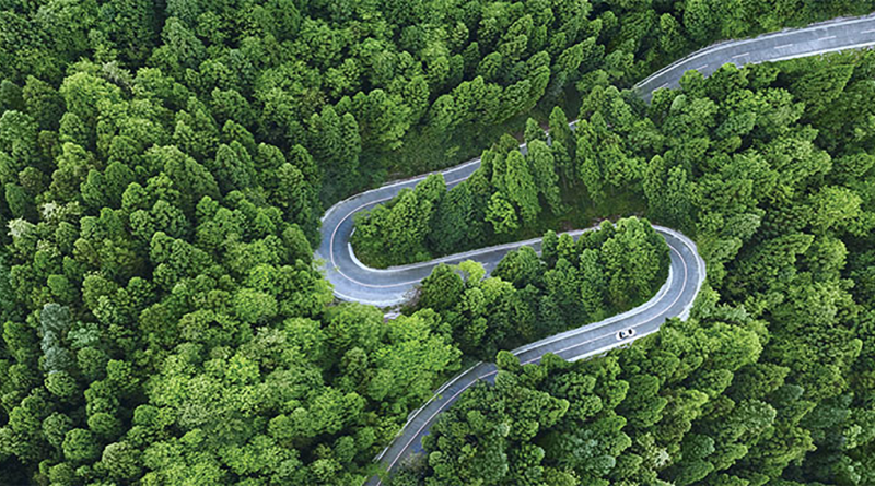Lush green forest with winding road going through it to support BWSC's Green Hydrogen Solutions