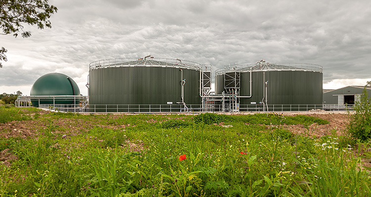 an anaerobic digestion (AD) plant, which is a facility that processes organic waste to produce biogas and a nutrient-rich fertilizer called digestate.