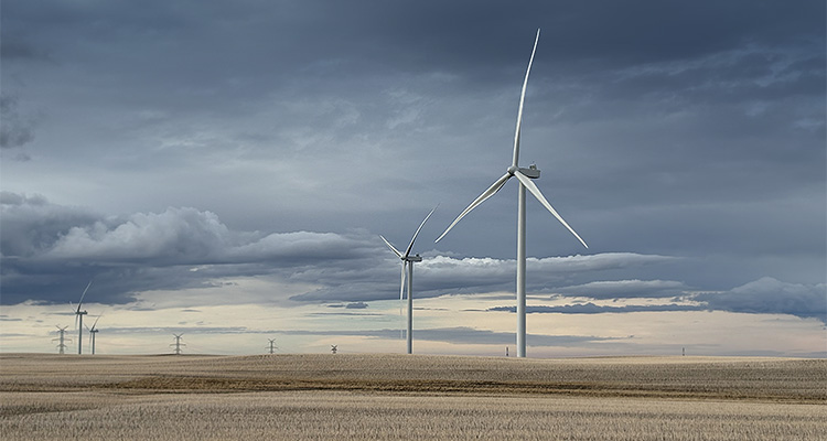 a wind farm, specifically the Wild Rose 2 Wind Farm in Cypress County, Alberta, Canada